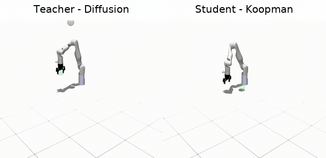koopman-teacher-student.gif